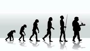 Evolution of man